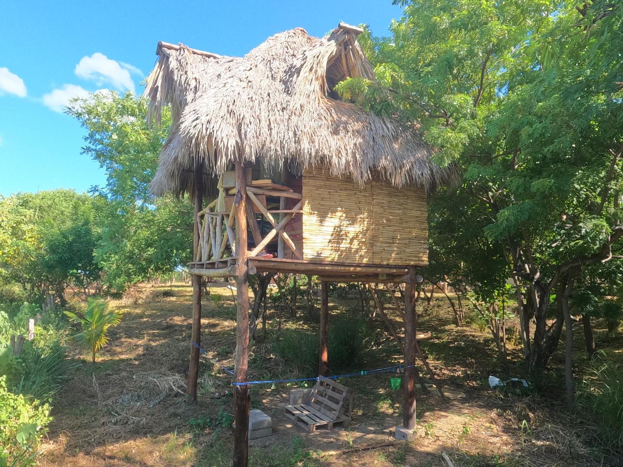 Palapa Hostel Transito Exterior photo