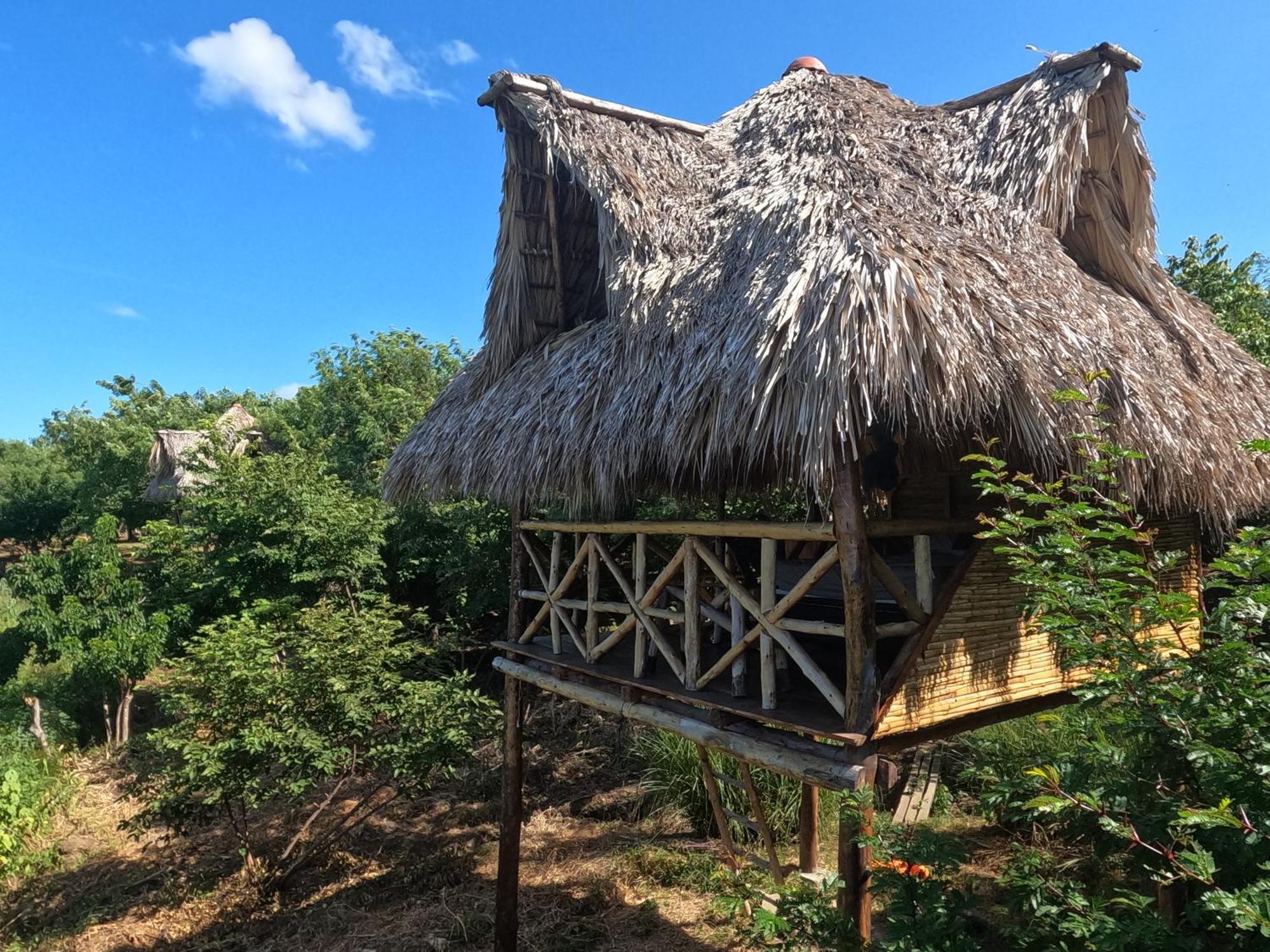 Palapa Hostel Transito Exterior photo