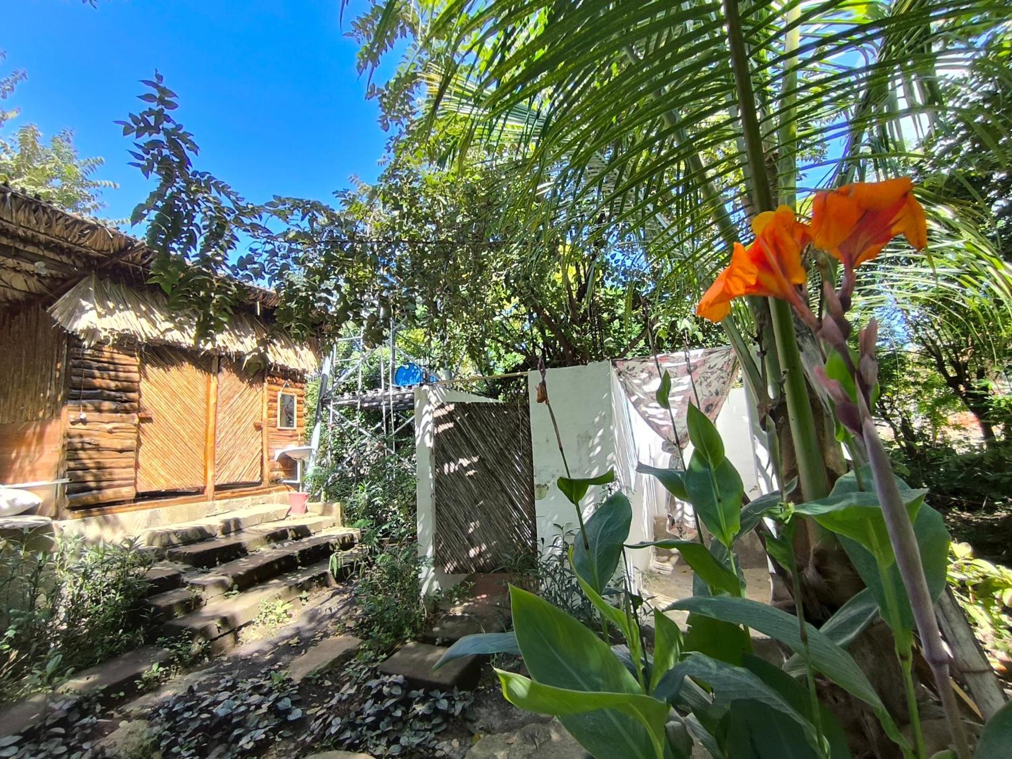 Palapa Hostel Transito Exterior photo
