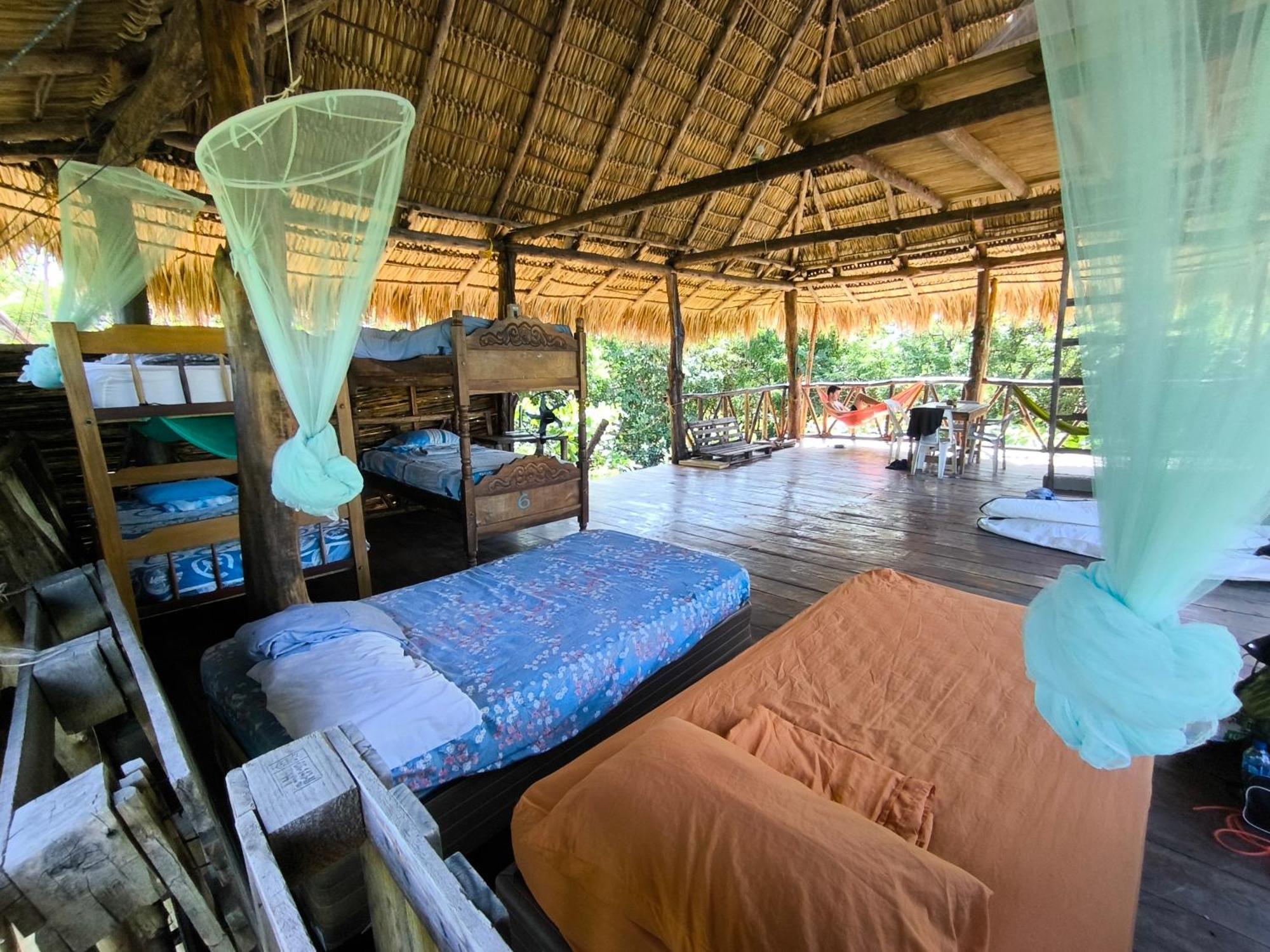 Palapa Hostel Transito Exterior photo