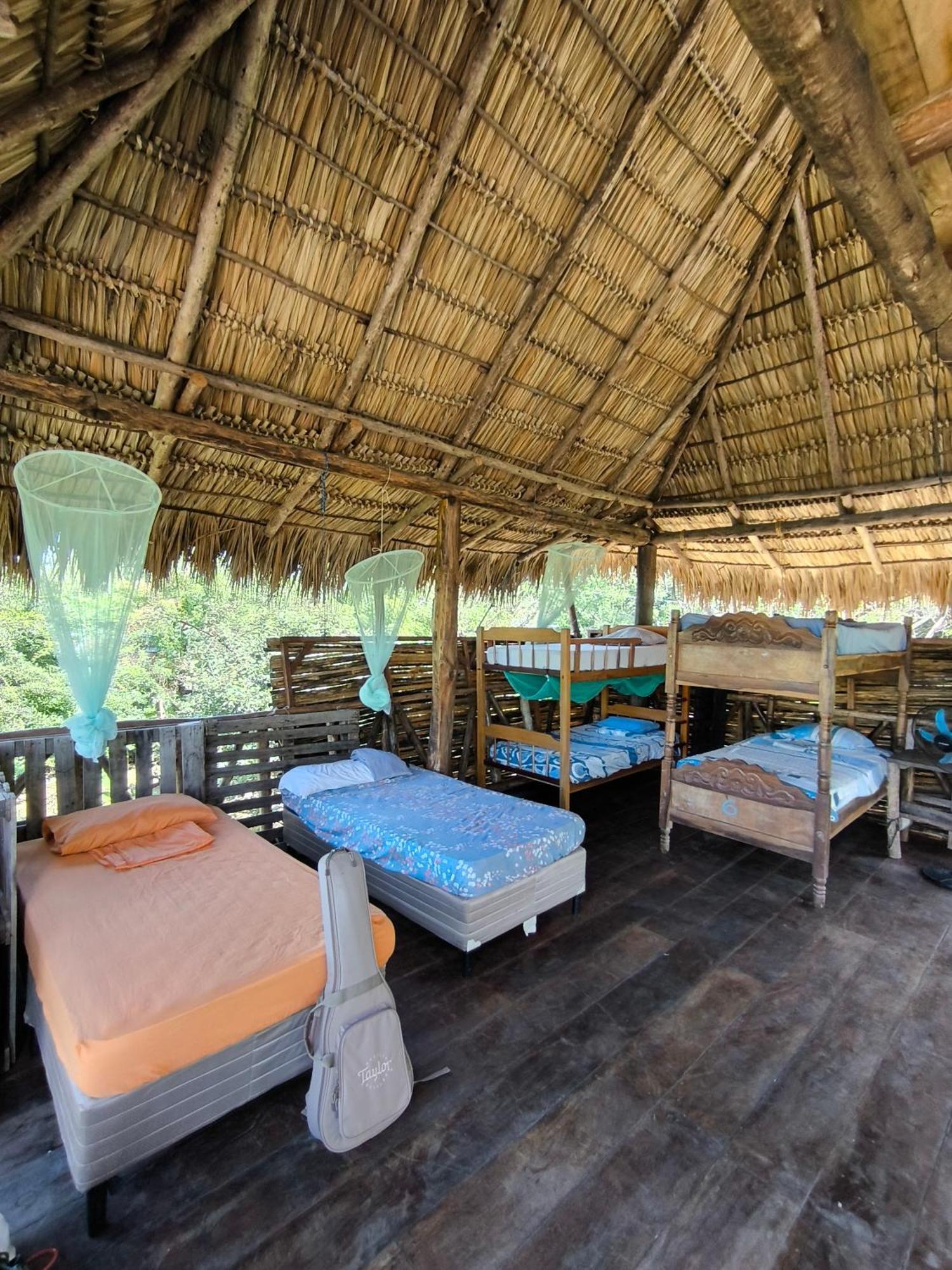 Palapa Hostel Transito Exterior photo